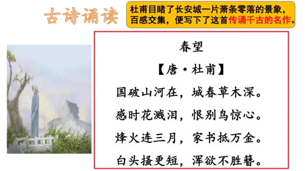 【诵读经典·传承文化】小学语文三年级古诗20首背诵课件