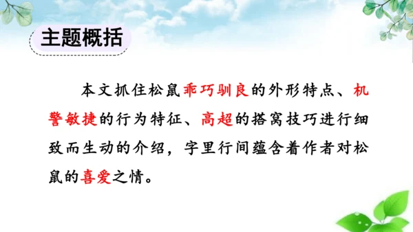第17课《松鼠》课件