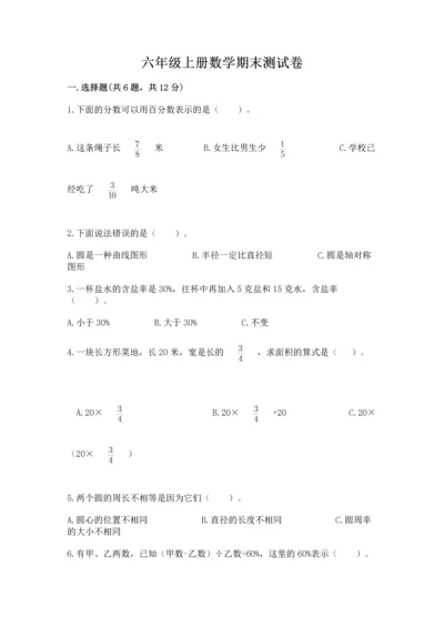 六年级上册数学期末测试卷含完整答案（典优）.docx