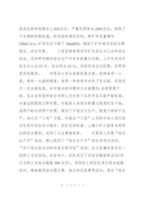 政府项目员半年工作总结800字.docx