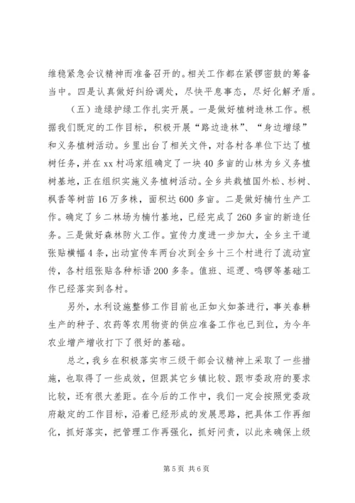 乡镇落实三级干部会议工作汇报.docx