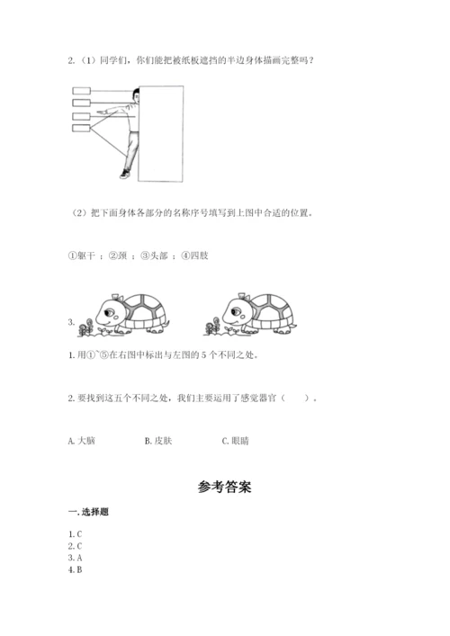 教科版小学科学二年级下册 期末测试卷【预热题】.docx