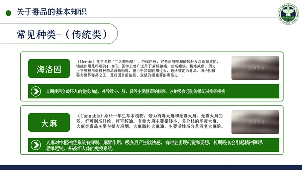国际禁毒日珍爱生命远离禁毒教育模板