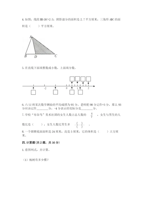 北京版六年级下册数学期末测试卷（网校专用）.docx