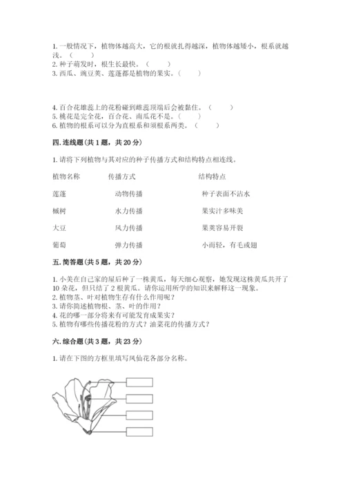 教科版科学四年级下册第一单元《植物的生长变化》测试卷带答案（实用）.docx