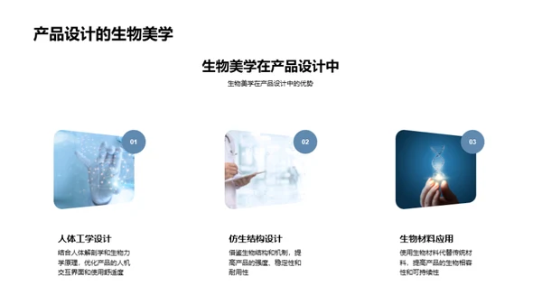 生物美学在科技中的应用
