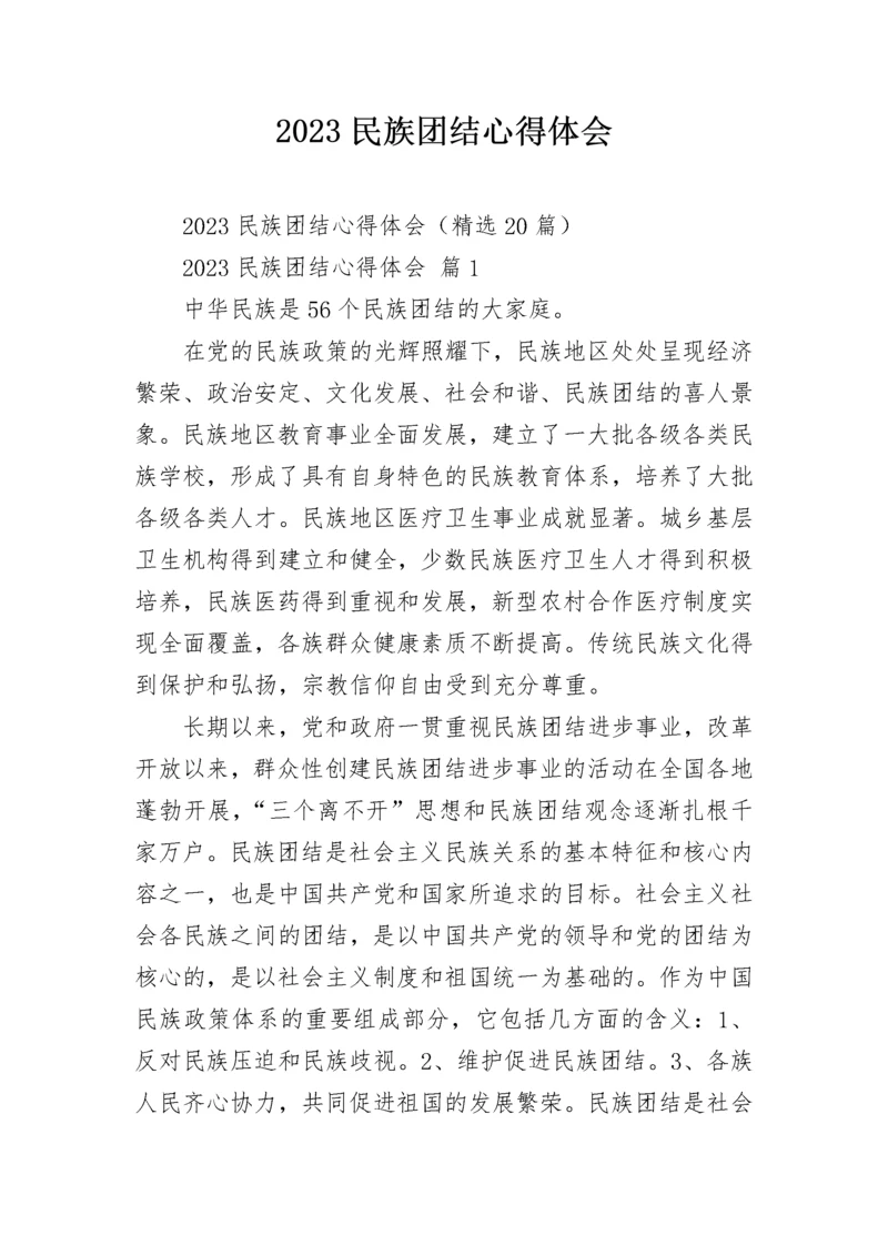 2023民族团结心得体会.docx