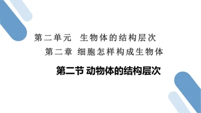 2.2.2 动物体的结构层次-2023-2024学年七年级生物上学期备课课件（人教版）(共26张PP