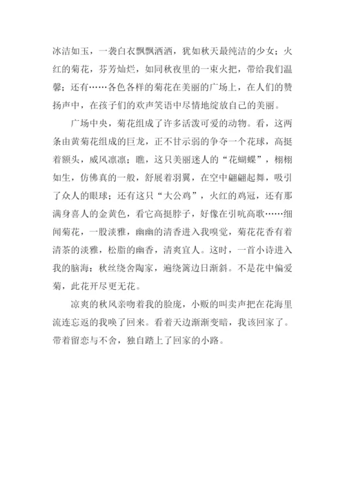 小学生描写菊花的作文.docx