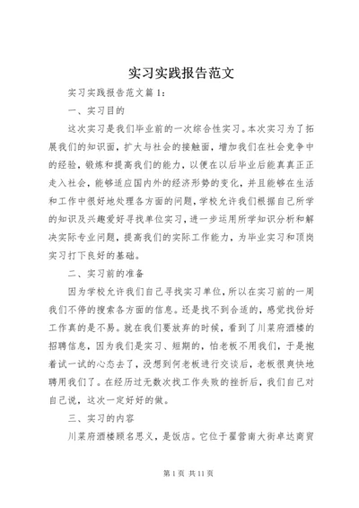 实习实践报告范文.docx