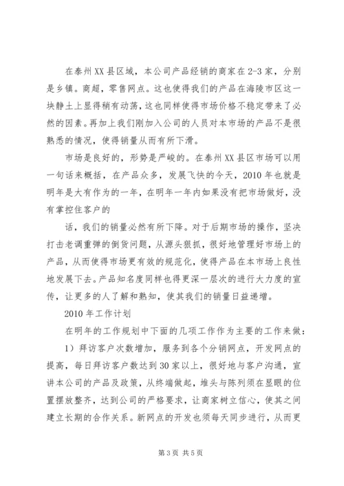 年度工作总结及规划 (2).docx