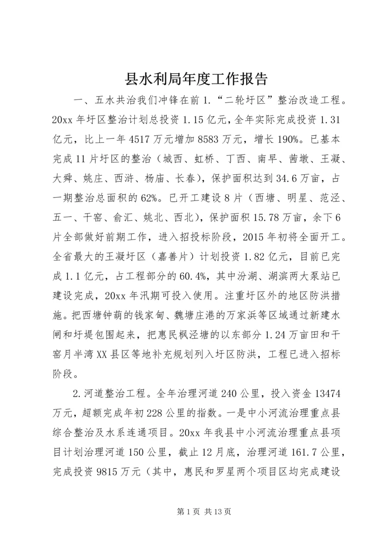 县水利局年度工作报告.docx