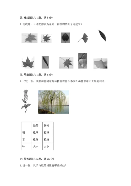 教科版一年级上册科学期末测试卷（能力提升）.docx