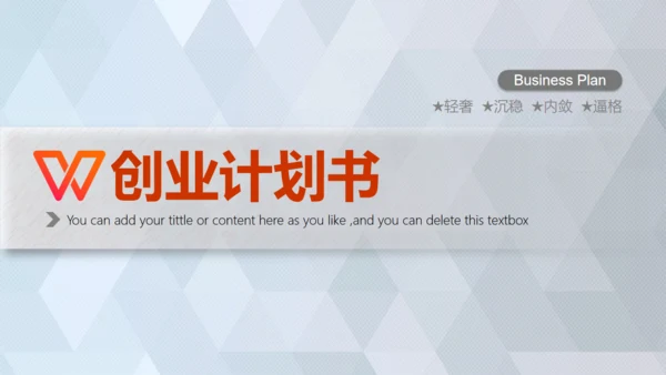 商业轻奢大气银灰色创业项目计划书通用PPT