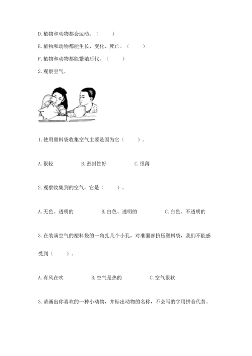 教科版一年级下册科学期末测试卷附答案下载.docx