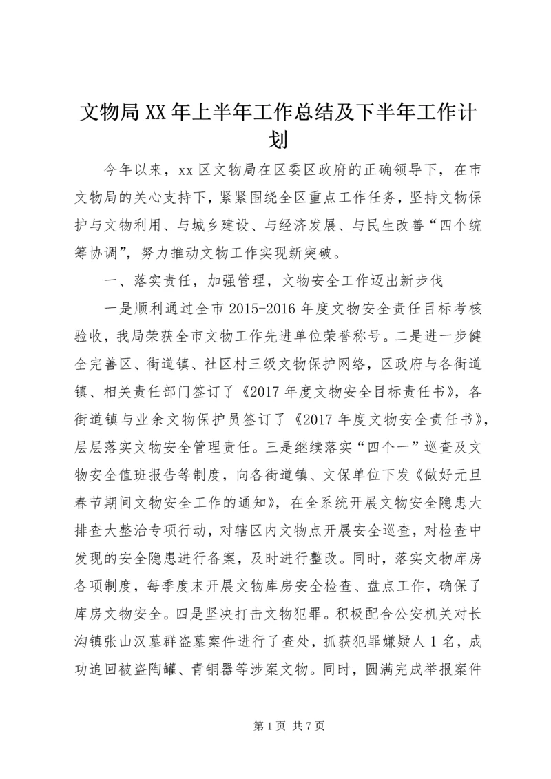 文物局XX年上半年工作总结及下半年工作计划.docx