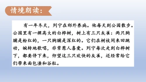 【同步课件】部编版语文三年级上册  25.灰雀（2课时）