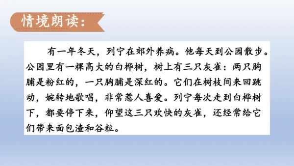 【同步课件】部编版语文三年级上册  25.灰雀（2课时）