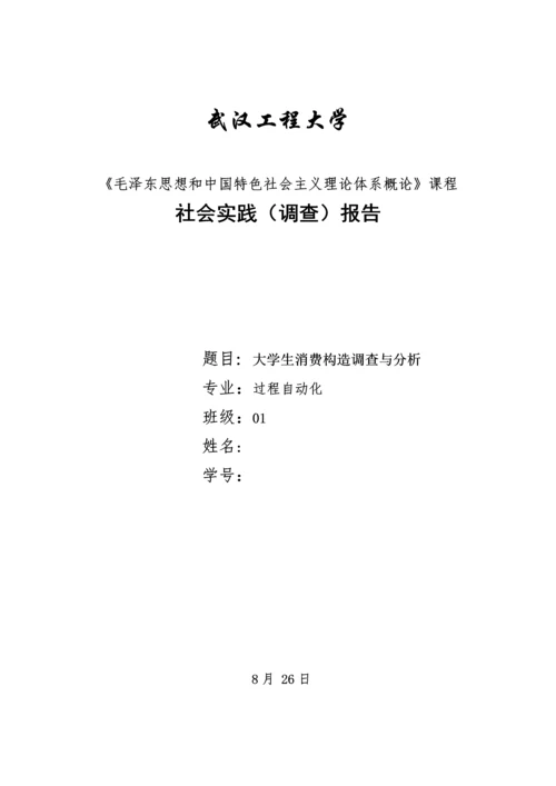 毛概社会实践调查报告范文.docx