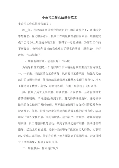 小公司工作总结报告范文.docx