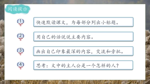 【核心素养】部编版语文四年级下册-21.芦花鞋（课件）