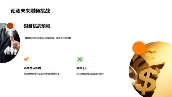 财务回顾与未来规划