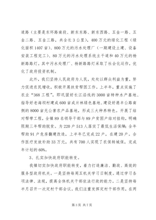 新垛镇贯彻落实市委十一届三次全会精神情况汇报 (5).docx