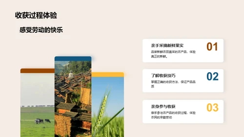 农业奥秘：种植收获之旅