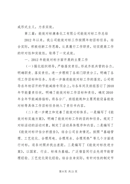 能效对标方案[最终版].docx