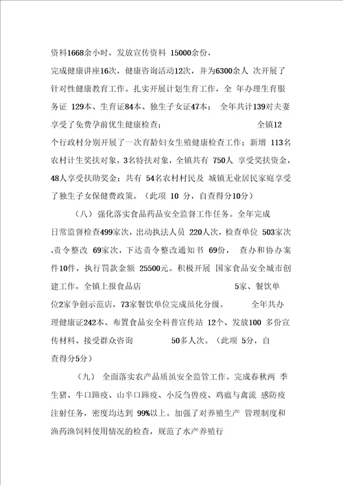 乡镇综合目标管理责任制执行情况自查报告