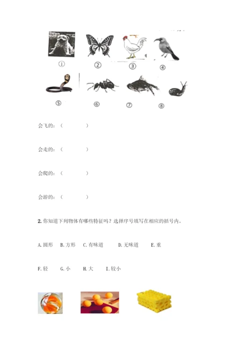 教科版一年级下册科学知识点期末测试卷附参考答案(基础题).docx