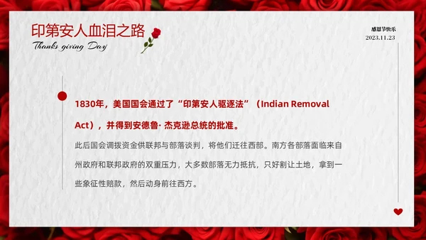 红色玫瑰温馨爱在感恩节感恩节介绍PPT