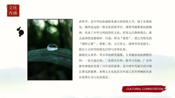 清明时节主题教育科普PPT模板