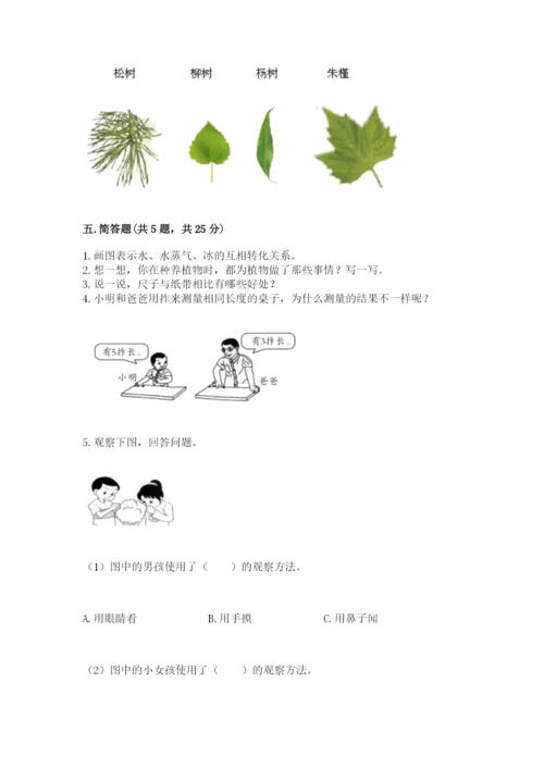 教科版一年级上册科学期末测试卷【a卷】.docx