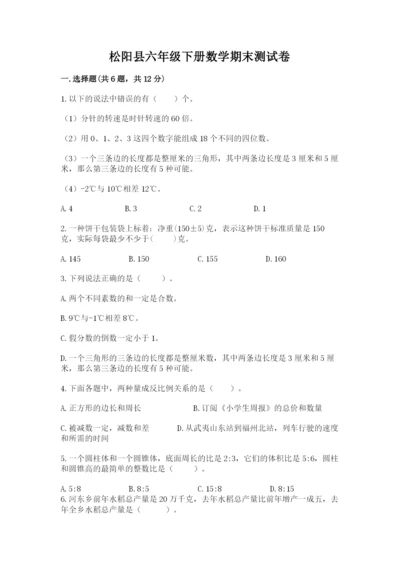 松阳县六年级下册数学期末测试卷带精品答案.docx