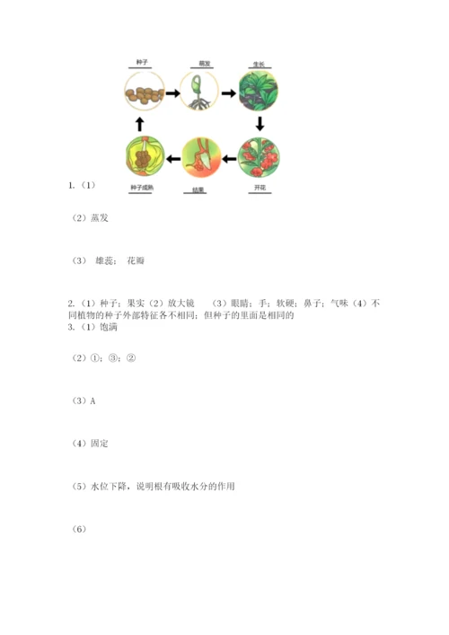 科学四年级下册第一单元《植物的生长变化》测试卷（考试直接用）.docx