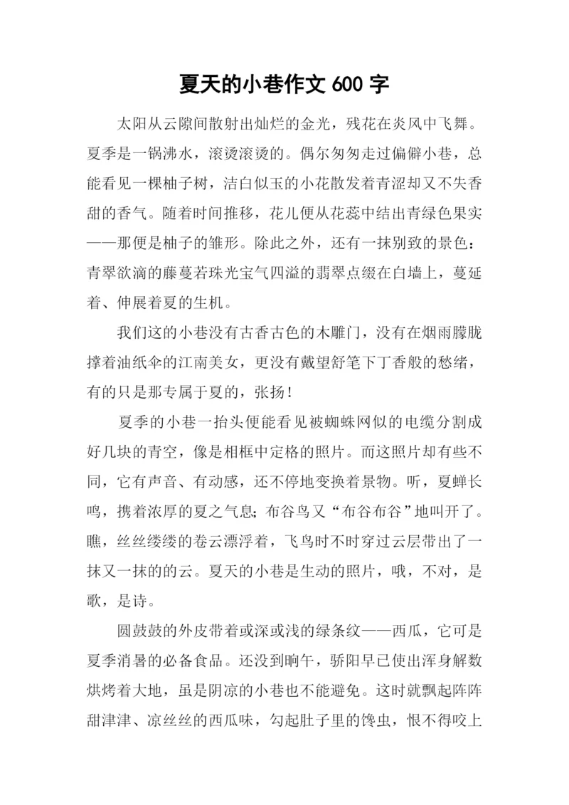 夏天的小巷作文600字.docx