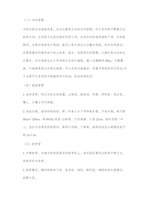 刺五加人工栽培技术.docx