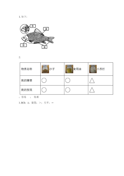 教科版一年级下册科学期末测试卷及参考答案（培优a卷）.docx