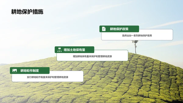 绿色插画农田观察与体验研究报告PPT模板