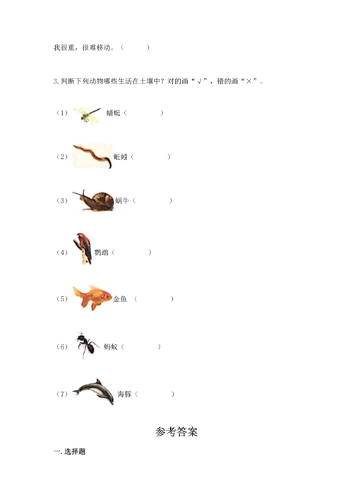 教科版二年级上册科学期末测试卷附答案【培优a卷】.docx