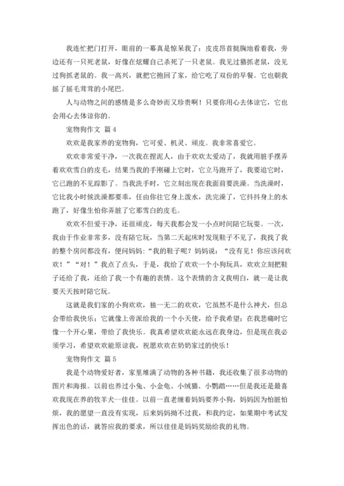 有关宠物狗作文锦集七篇.docx