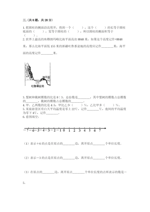 西师大版数学小升初模拟试卷及参考答案ab卷.docx