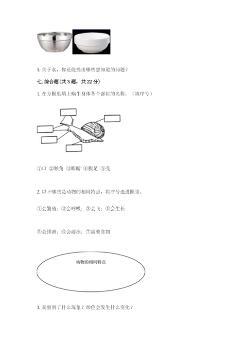 教科版小学科学一年级下册期末测试卷【考点精练】.docx