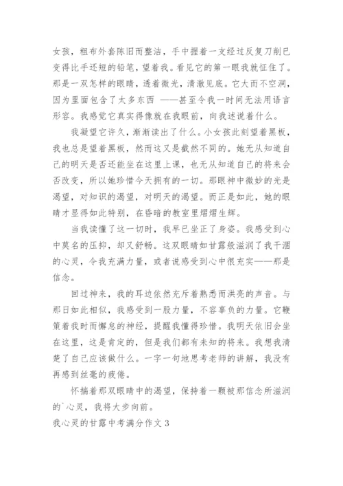 我心灵的甘露中考满分作文.docx