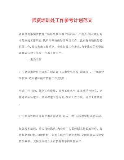 精编师资培训处工作参考计划范文.docx