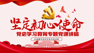 践行坚定初心使命勇于担当作为党史党课党建