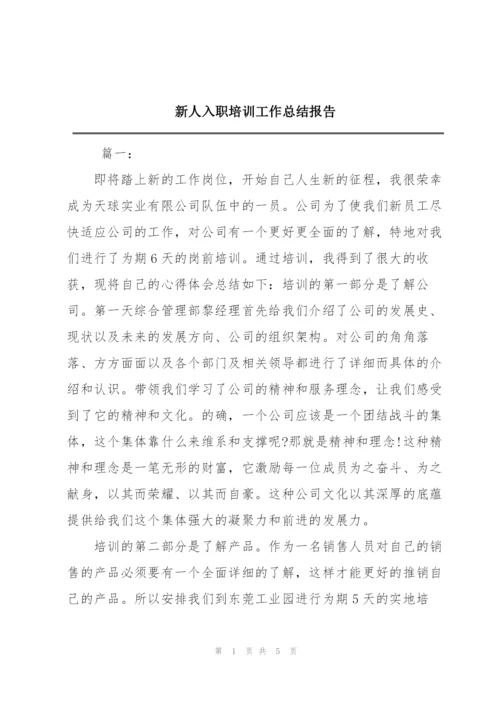 新人入职培训工作总结报告.docx