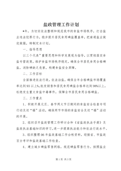 盐政管理工作计划.docx