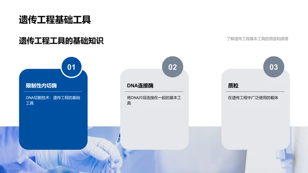 遗传工程伦理挑战PPT模板